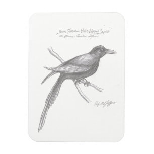 Magnet Flexible Aimant de saphir à ailes violettes du Tirnishan Su