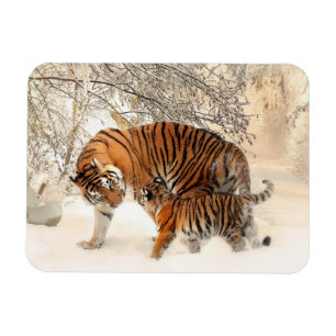 Magnet Flexible Aimant des tigres d'hiver