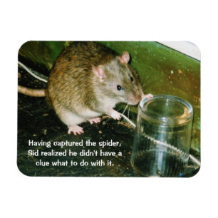 Magnet Flexible aimant drôle de rat