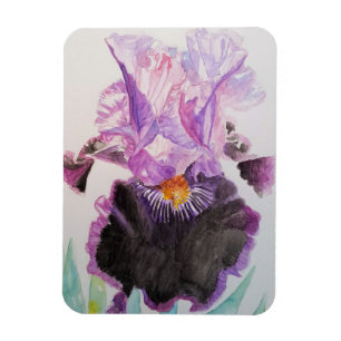 Magnet Flexible Aimant en aquarelle Fleurs Floral Iris Violet