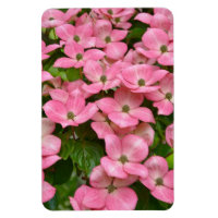 Aimant en bois de rose