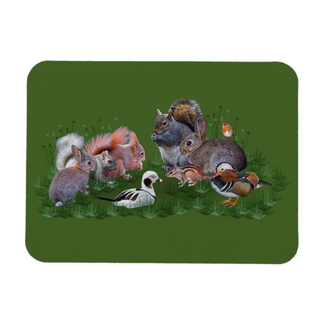 Magnet Flexible Aimant Flexi pour animaux de bois (Horizontal)