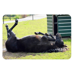 Magnet Flexible Aimant flexible à cheval