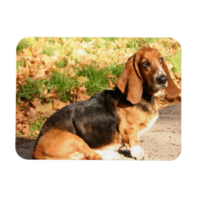 Magnet Flexible Aimant flexible de fixation Basset (Horizontal)