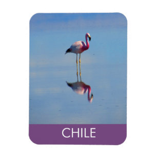 Magnet Flexible Aimant flexible Flamant rose