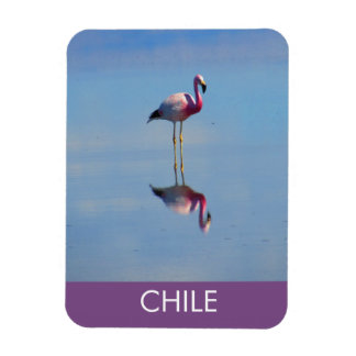 Magnet Flexible Aimant flexible Flamant rose