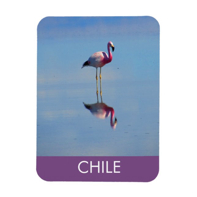 Magnet Flexible Aimant flexible Flamant rose (Vertical)