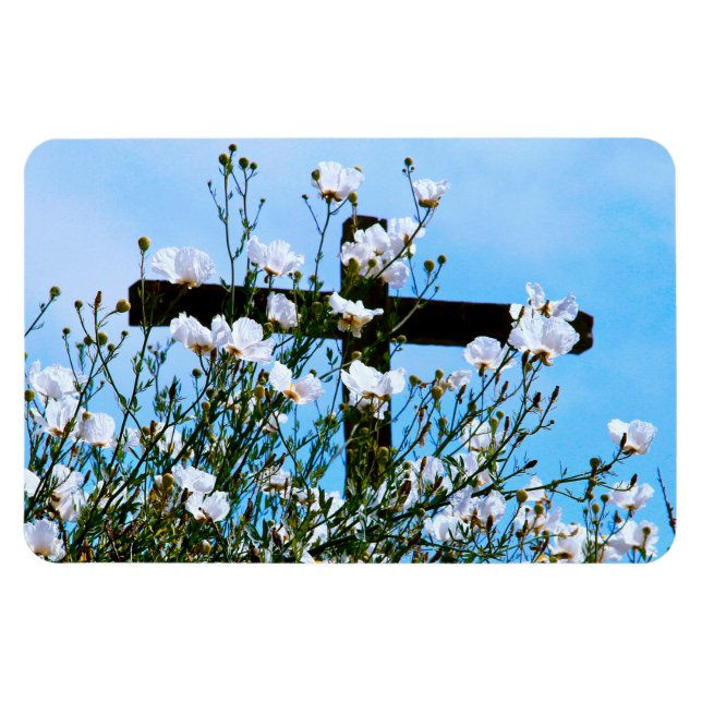 Magnet Flexible Aimant flexible FOI (Horizontal)