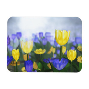 Magnet Flexible Aimant flexible Jubilé d'or