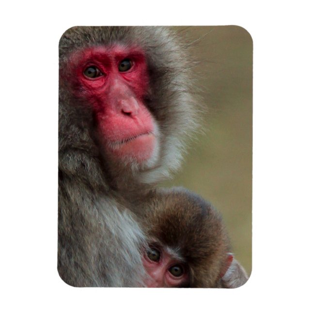 Magnet Flexible Aimant flexible Macaque Singes Japonais (Vertical)