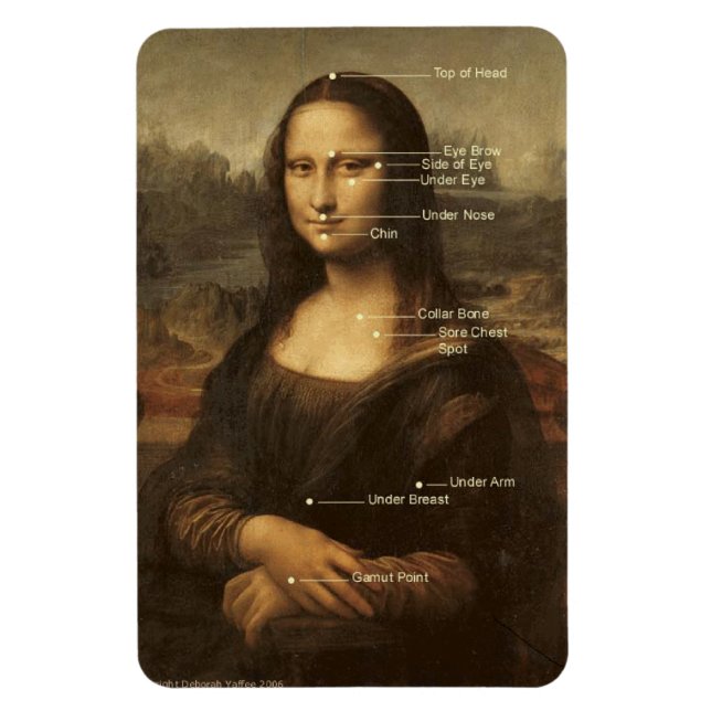 Magnet Flexible Aimant flexible Mona Lisa EFT Points de recouvreme (Vertical)