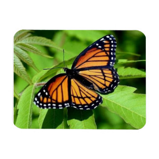 Magnet Flexible Aimant flexible papillon