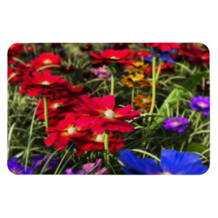 Magnet Flexible Aimant flexible ressort Iridescente