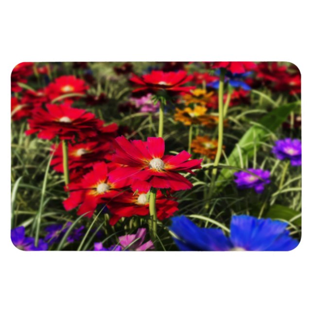 Magnet Flexible Aimant flexible ressort Iridescente (Horizontal)