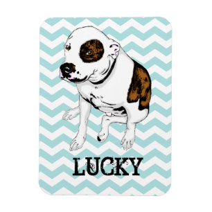 Magnet Flexible Aimant frigidaire Chevron Turquoise Pit Bull