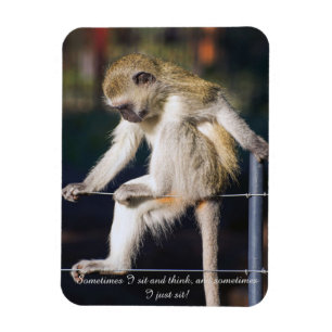 Magnet Flexible Aimant frigo avec singe et Slogan