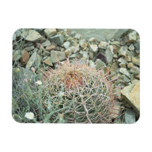 Magnet Flexible Aimant frigo décoratif de cactus de poésie du dése