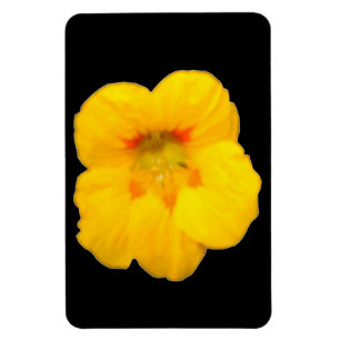 Magnet Flexible Aimant jaune brillant Nasturtium Premium