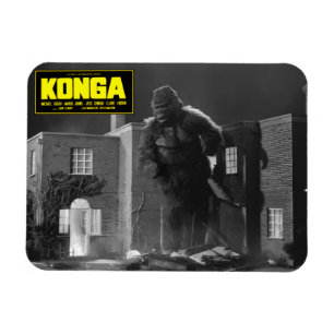 Magnet Flexible Aimant KONGA des années 1960
