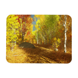 Magnet Flexible Aimant léger flexible