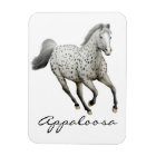 Aimant Leopard Appaloosa Cheval à galop