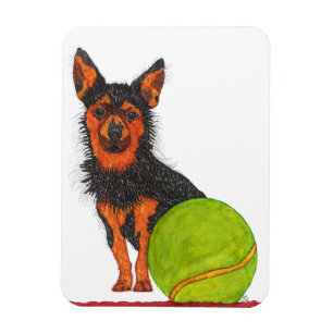 Magnet Flexible Aimant mignon et adorable 3" de chien de Chorkie