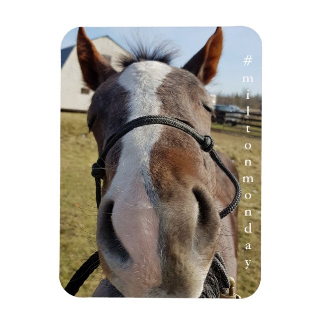 Magnet Flexible Aimant Milton Monday (Vertical)