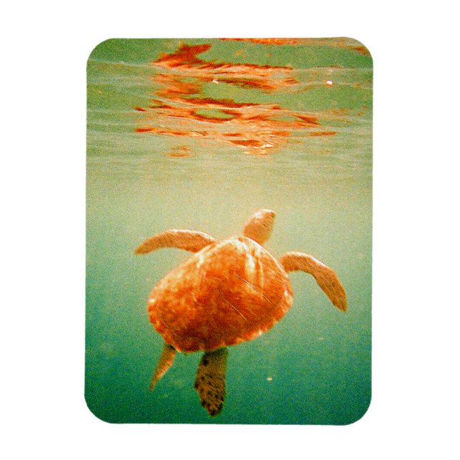 Magnet Flexible Aimant photo 3"x4" (Vertical)
