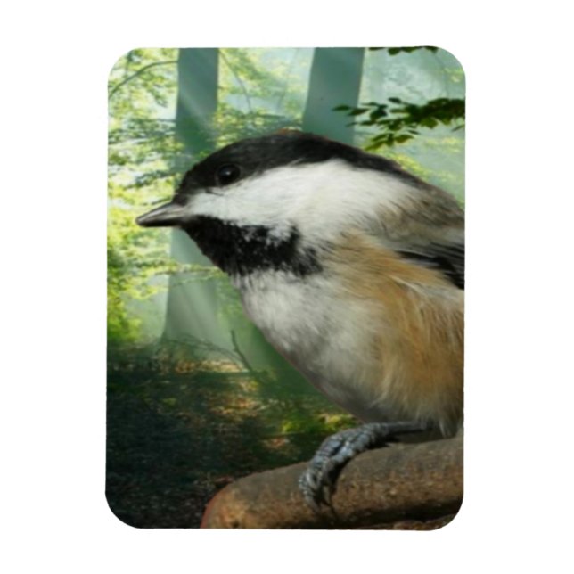 Magnet Flexible aimant photo 3x4 (Vertical)
