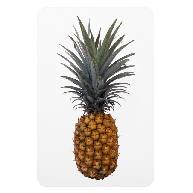 Magnet Flexible Aimant photo ananas (Vertical)