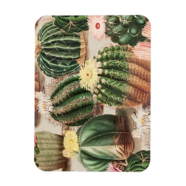 Magnet Flexible Aimant photo Cactus Design flexible (Vertical)