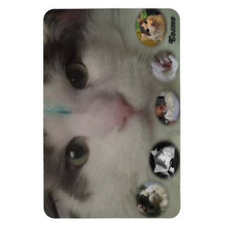 Magnet Flexible Aimant photo Cosmo Collage