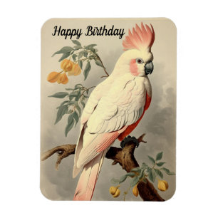 Magnet Flexible Aimant photo d'anniversaire d'oiseaux tropicaux