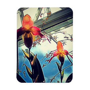 Magnet Flexible Aimant photo flexi orchidées ensoleillées