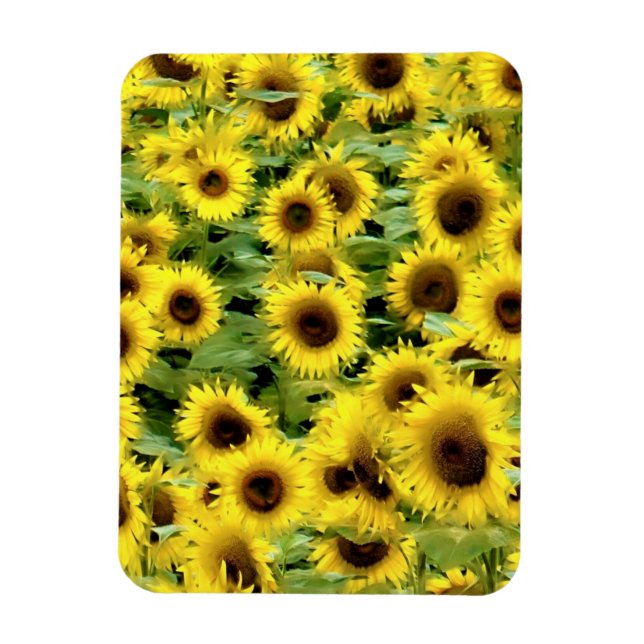 Magnet Flexible Aimant photo flexible (Vertical)