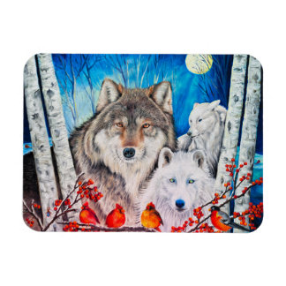 Magnet Flexible Aimant photo flexible