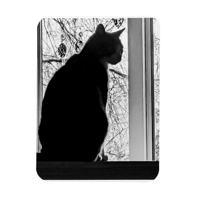 Magnet Flexible Aimant photo flexible (Vertical)