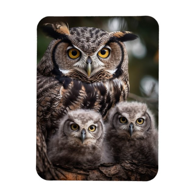 Magnet Flexible Aimant photo flexible de la famille Owl (Vertical)