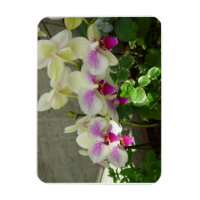 Aimant photo flexible orchidée