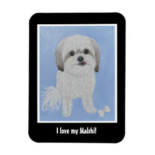 Magnet Flexible Aimant photo flexible pour chien Malshi