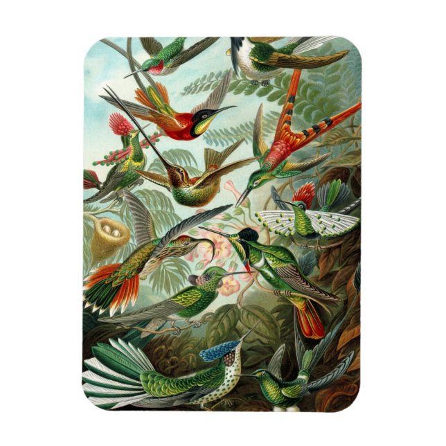 Magnet Flexible Aimant Premium de colibri (Vertical)