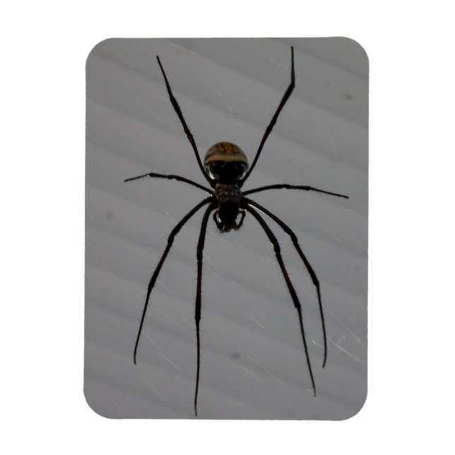 Magnet Flexible Aimant Spider 3"x4" (Vertical)