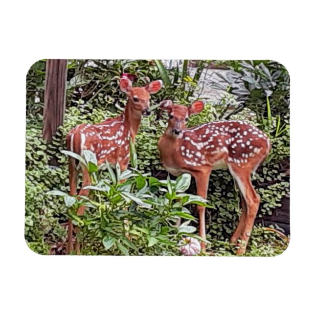 Magnet Flexible Aimant Twin Fawns (Horizontal)