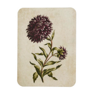 Magnet Flexible Aimant vintage floral à deux ailettes
