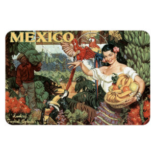 Magnet Flexible Aimant voyage vintage du Mexique