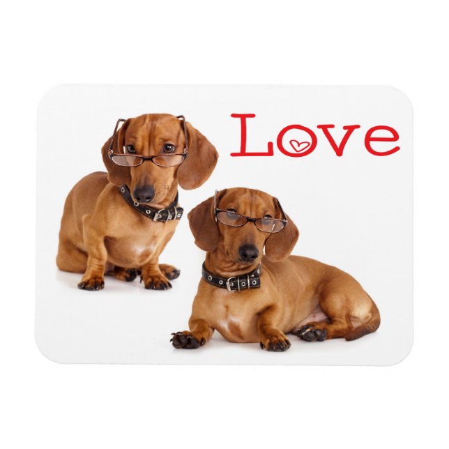 Magnet Flexible Aimer Dachshund Chien Chien Chien Chien Chien Aima (Horizontal)