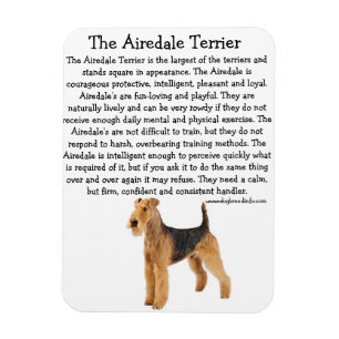 Magnet Flexible Airedale