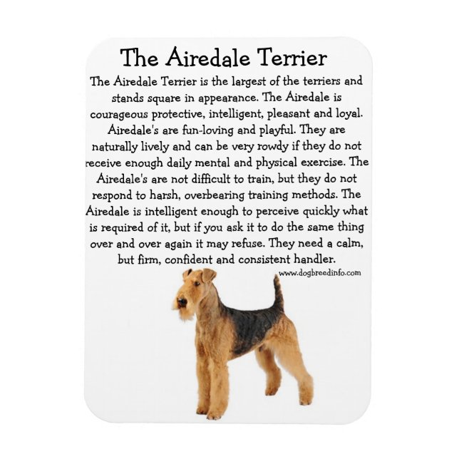 Magnet Flexible Airedale (Vertical)