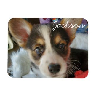 Magnet Flexible Ajoutez la photo de votre animal de compagnie à ce