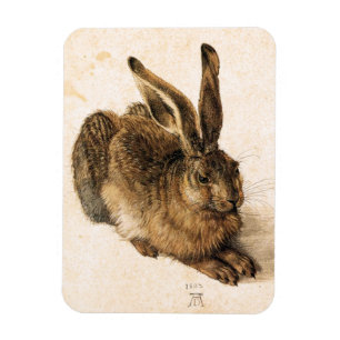 Magnet Flexible Albrecht Durer Young Hare